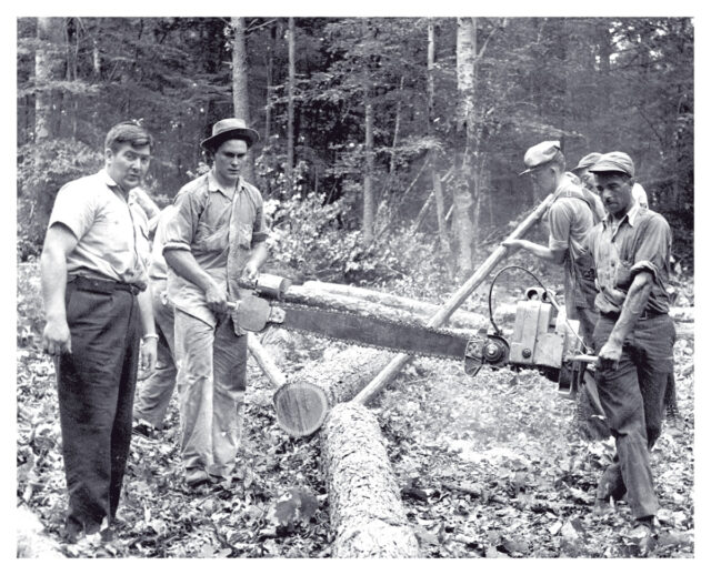 Historical and Cultural Significance of Tree Removal