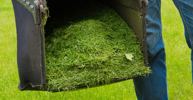 Mulch or Bag Clippings